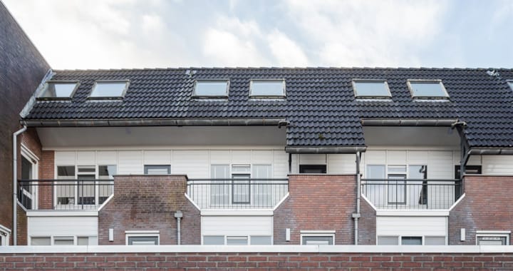 Foto 2 van Populier 205