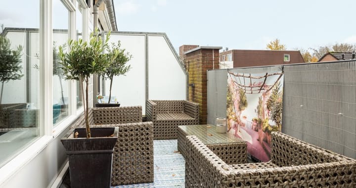 Foto 9 van Populier 205