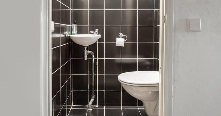 Foto 12 van Populier 205