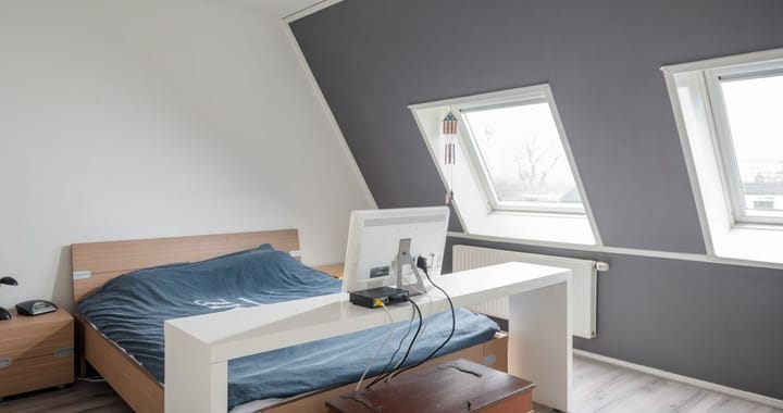 Foto 13 van Populier 205