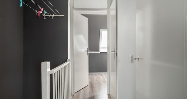 Foto 16 van Populier 205