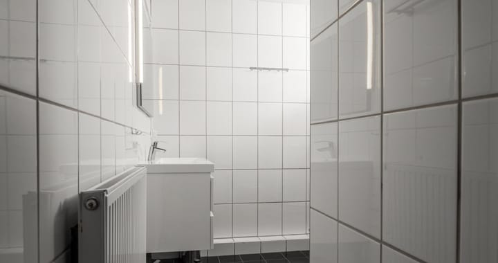 Foto 17 van Populier 205