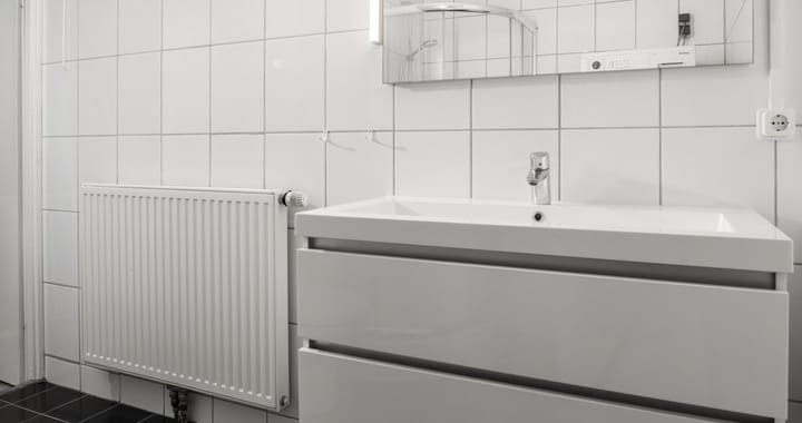 Foto 19 van Populier 205