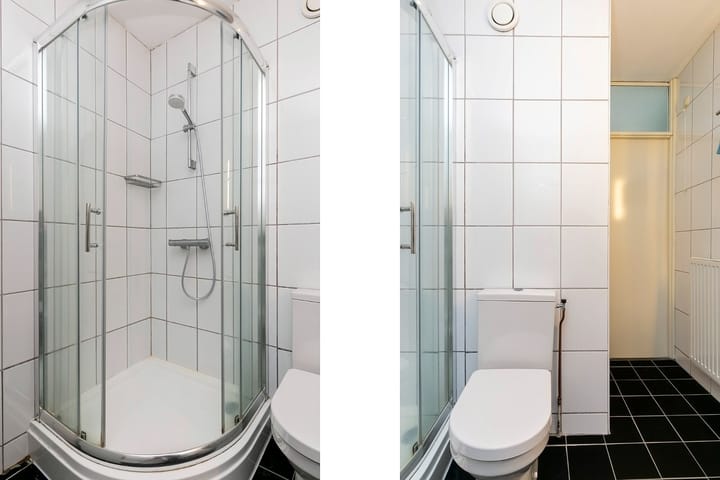 Foto 23 van Populier 205