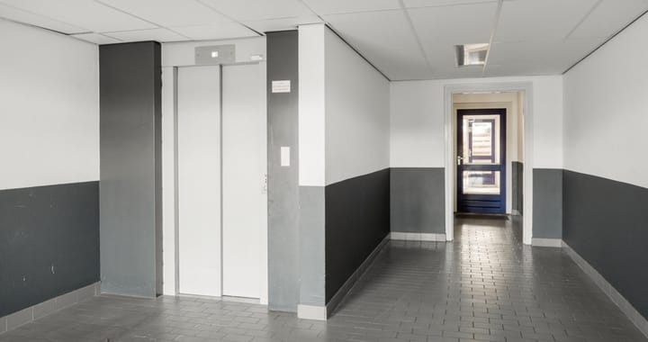 Foto 24 van Populier 205