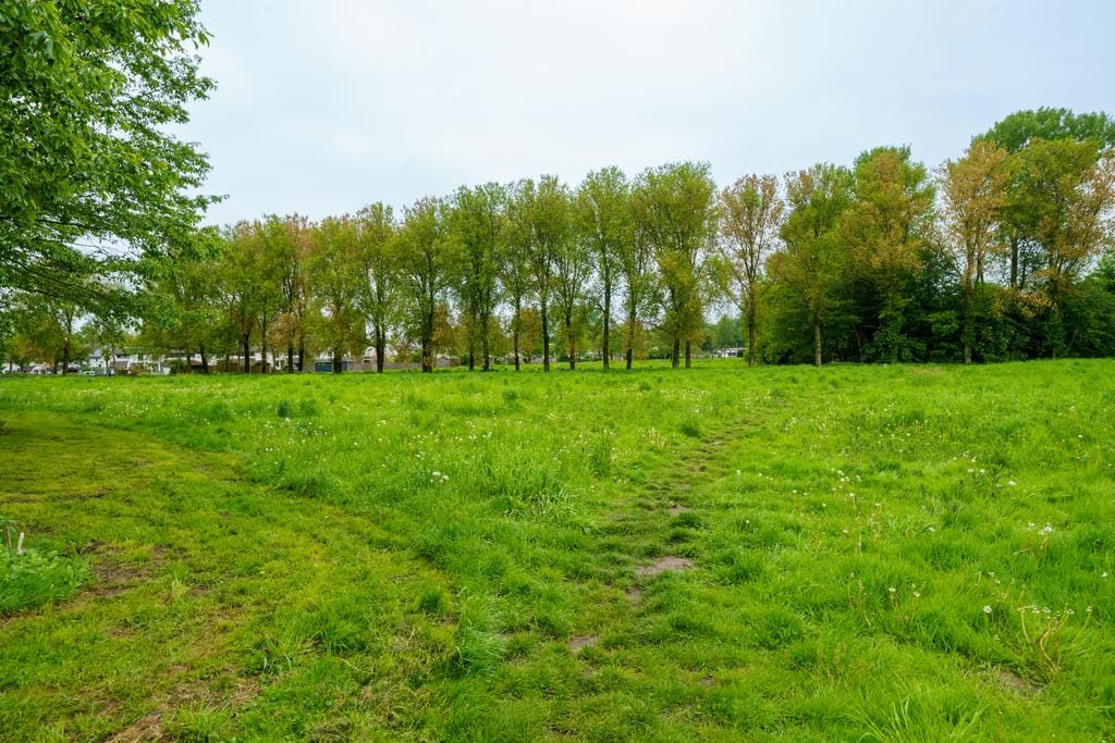 Foto 47 van Grasmeent 83