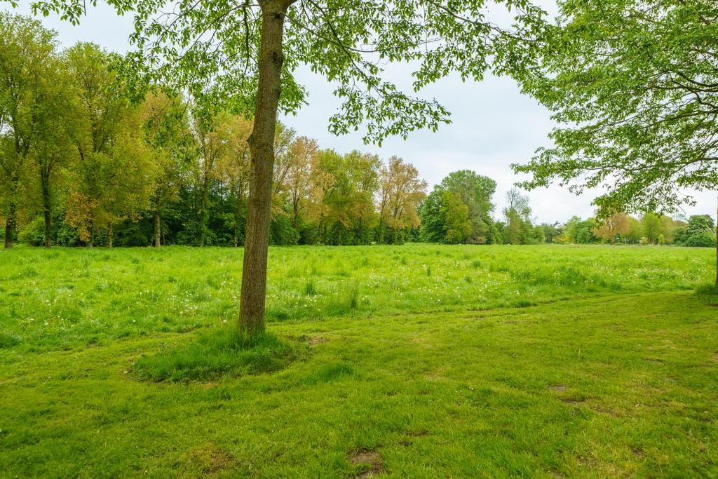 Foto 48 van Grasmeent 83