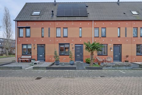 Dikkertje Dap thumbnail