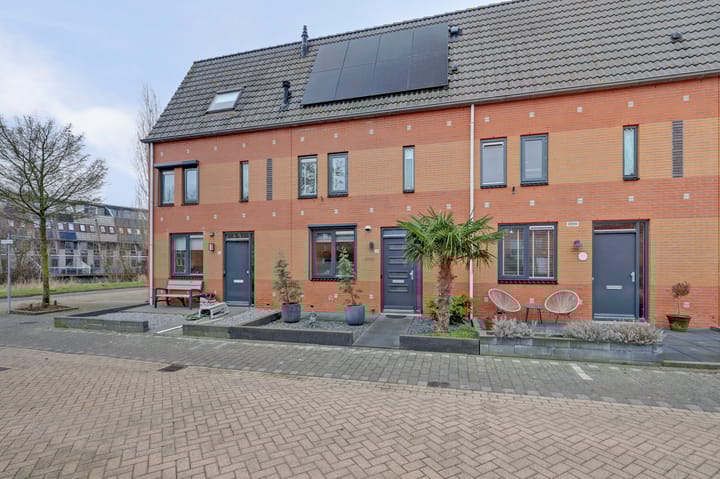 Foto 5 van Dikkertje Dap 61