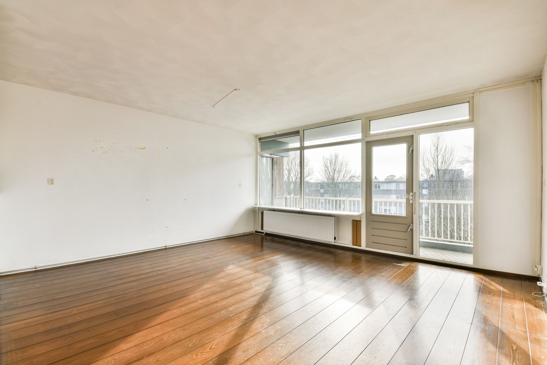 Foto 6 van Spinaker 49