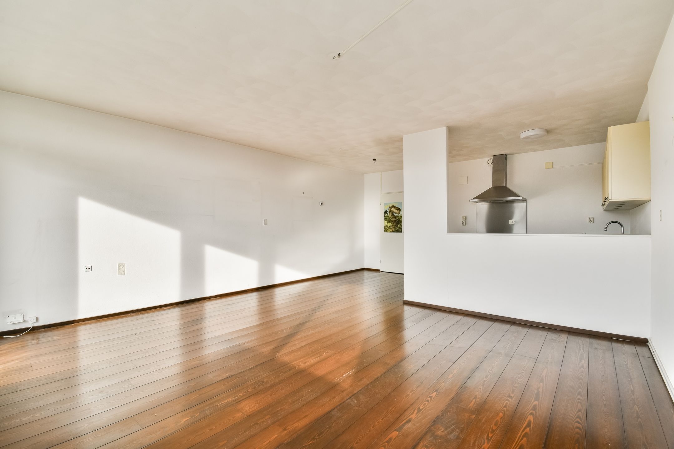 Foto 3 van Spinaker 49