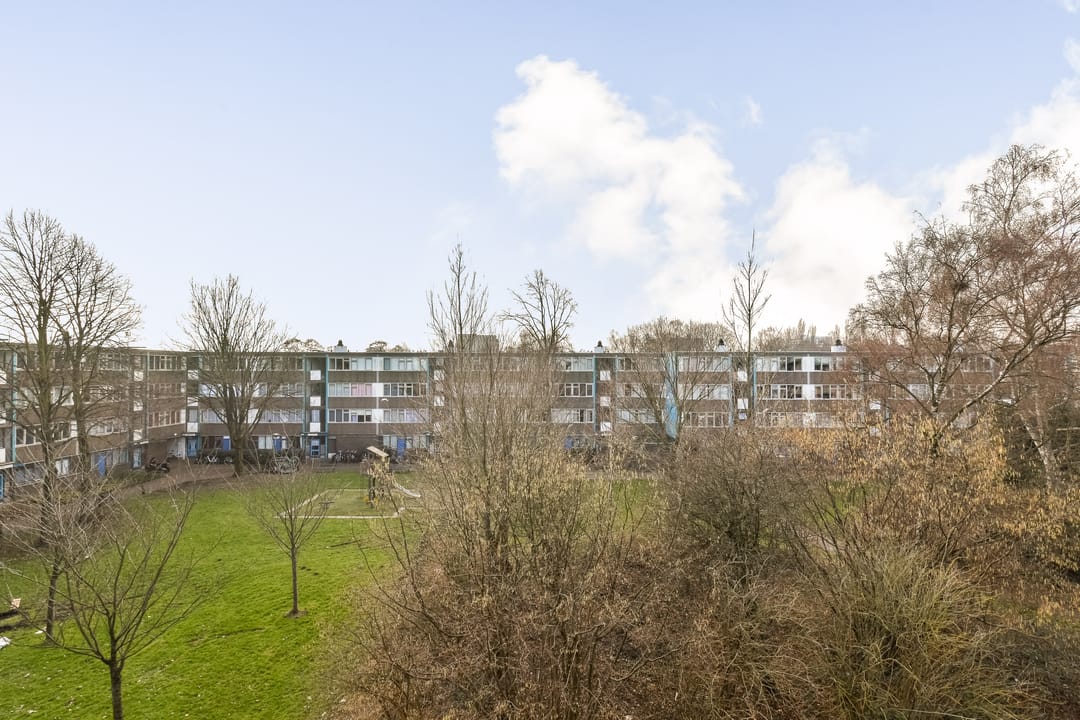 Foto 2 van Spinaker 49