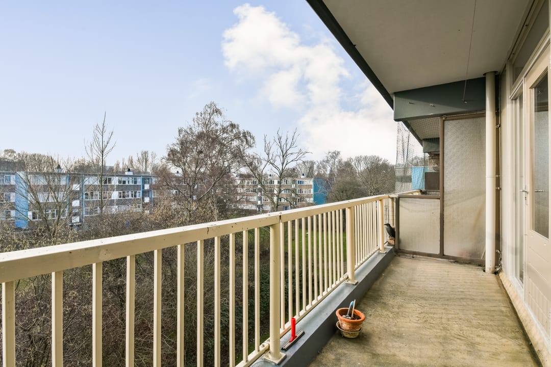 Foto 11 van Spinaker 49