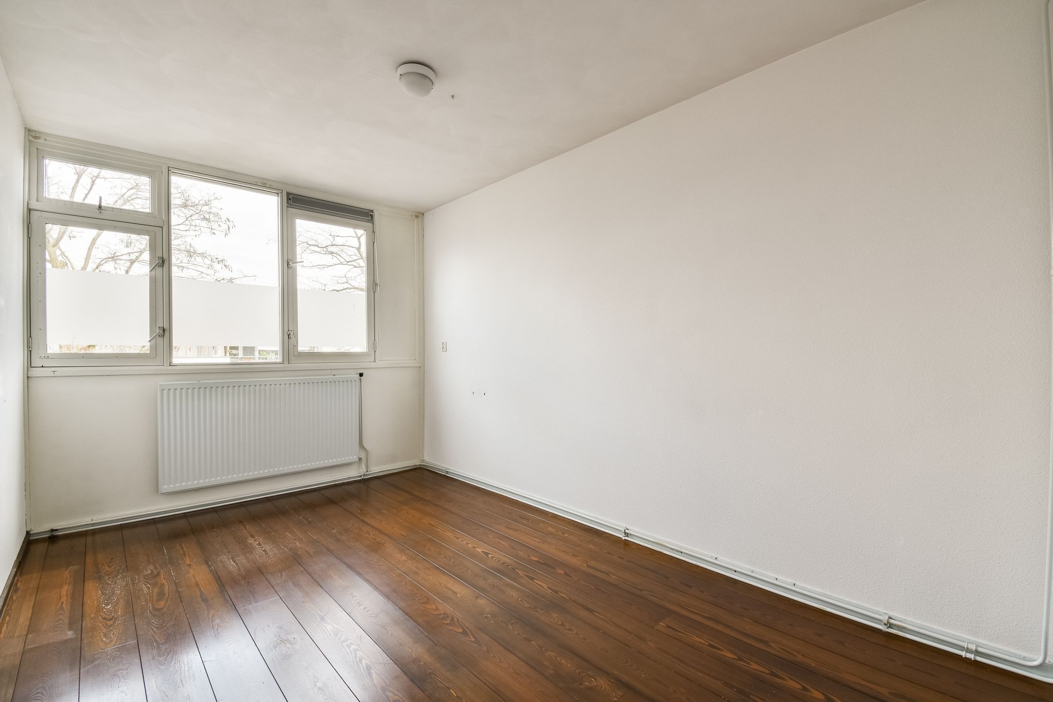 Foto 12 van Spinaker 49