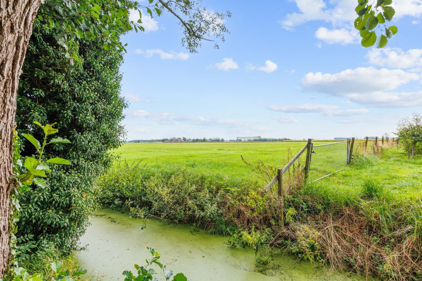 Foto 55 van Molenweg 26