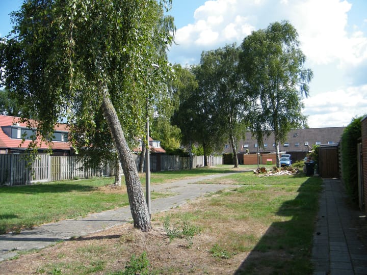 Photo 3 of De Fuut 21