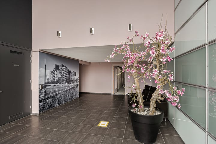 Photo 6 of Zilverparkkade 34