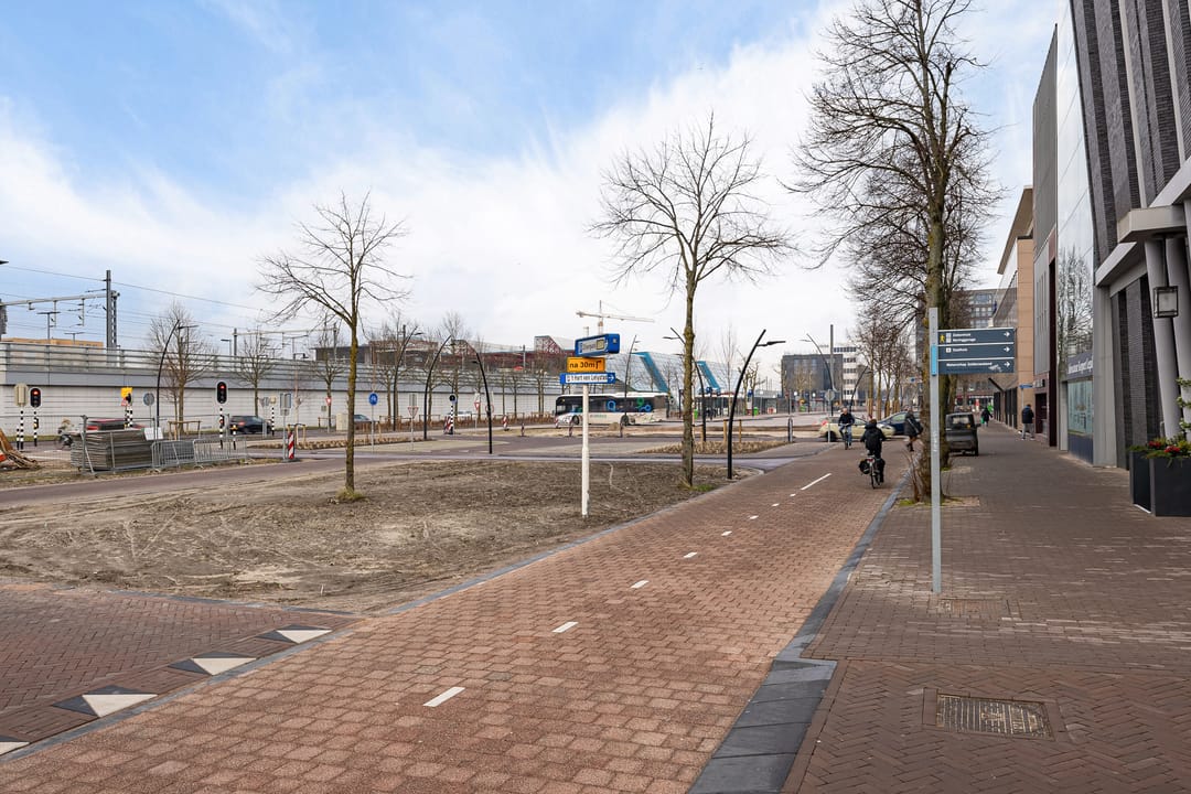 Photo 28 of Zilverparkkade 34
