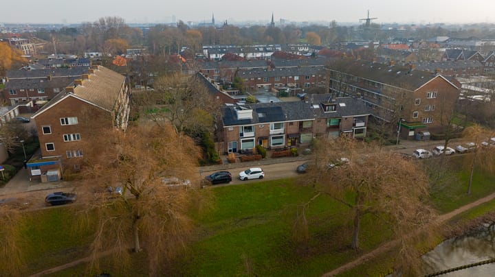 Photo 51 of Rozemarijn 85