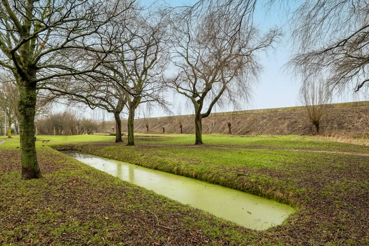 Photo 48 of Rozemarijn 85