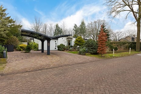 Witte Hoeflaan thumbnail