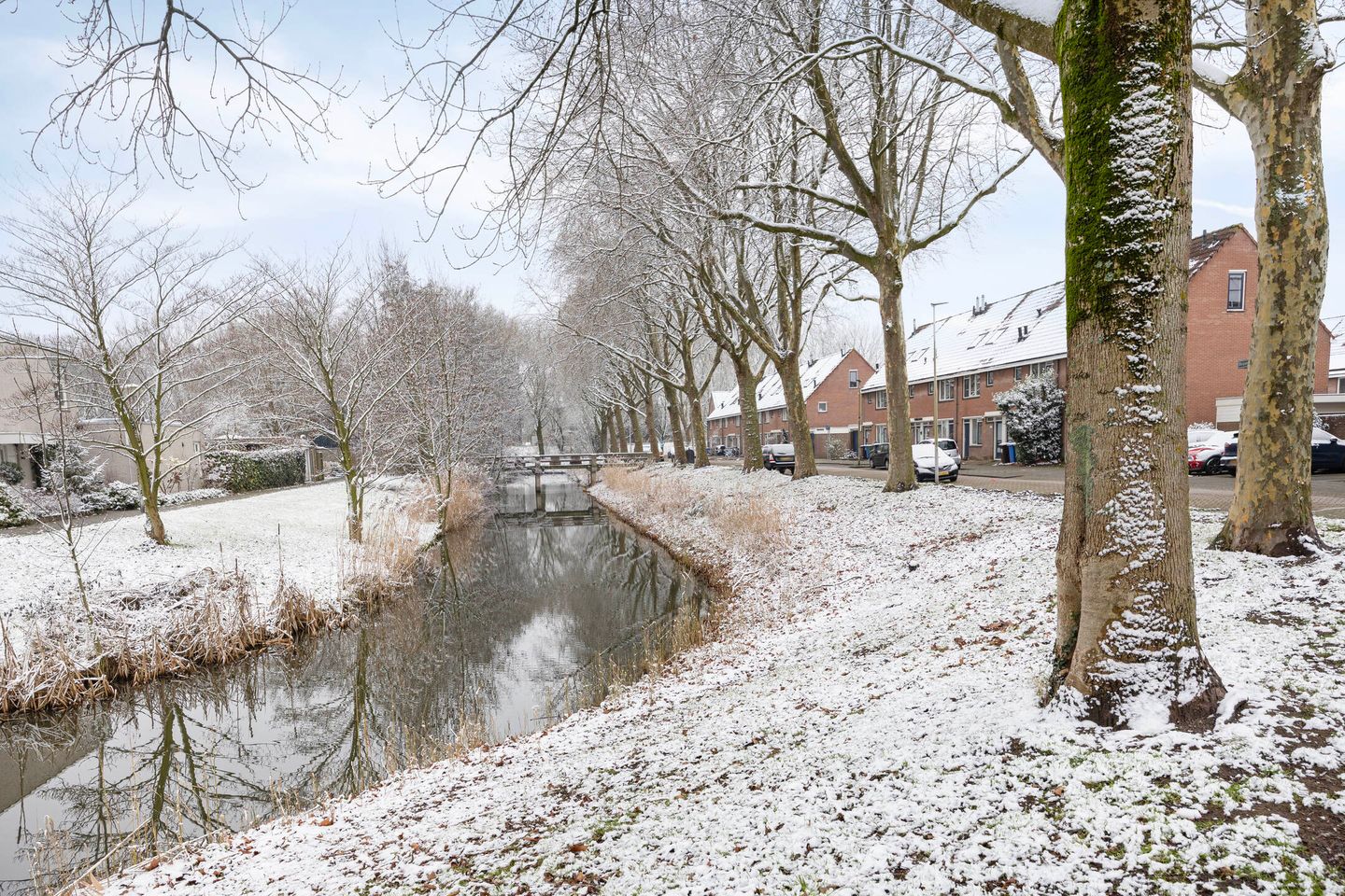 Foto 50 van Marketentster 82