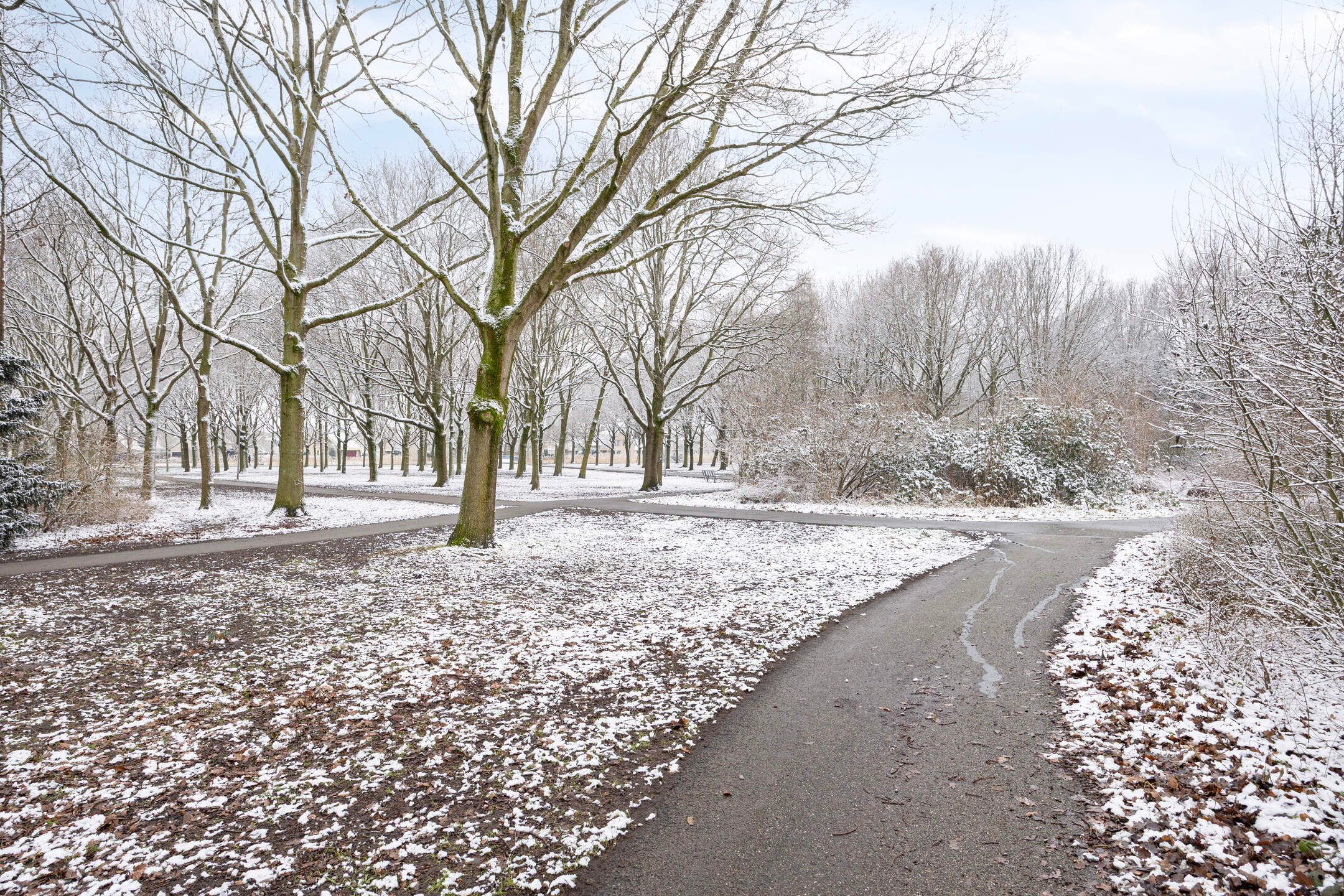 Foto 51 van Marketentster 82