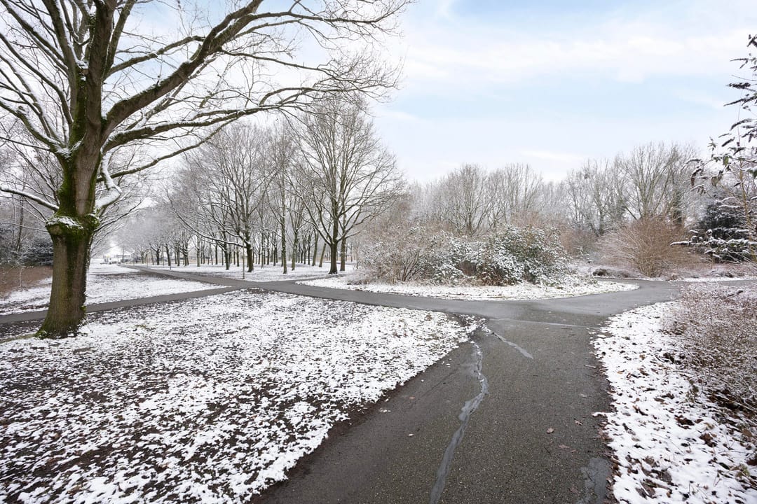 Foto 52 van Marketentster 82