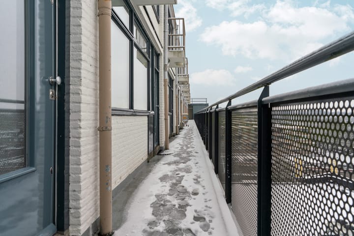 Foto 4 van Treubstraat 174