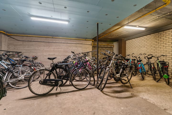 Foto 43 van Treubstraat 174