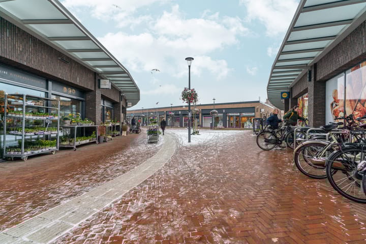 Foto 45 van Treubstraat 174