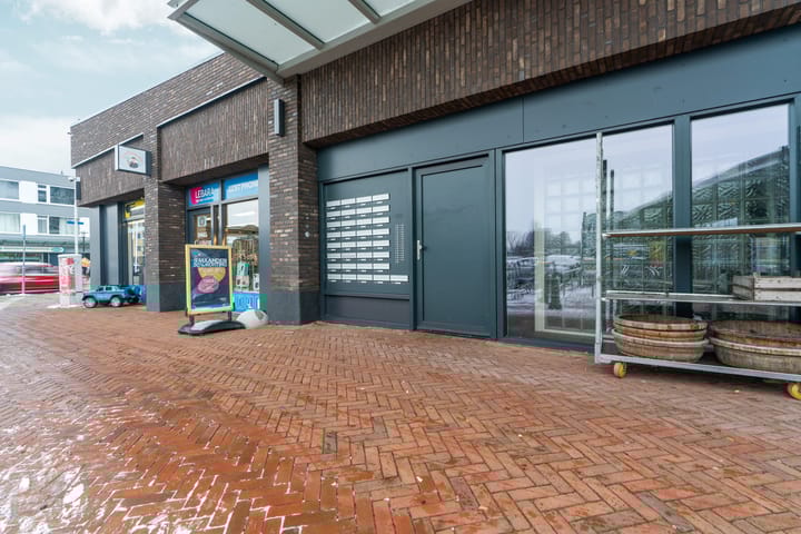 Foto 46 van Treubstraat 174