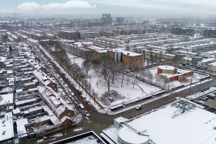 Foto 47 van Treubstraat 174