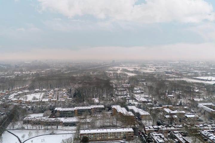 Foto 48 van Treubstraat 174