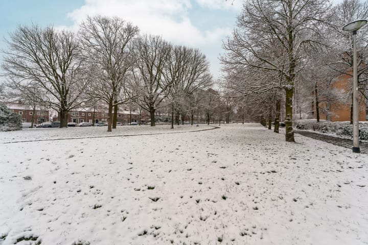 Foto 49 van Treubstraat 174