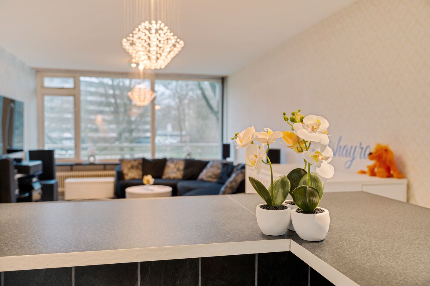 Photo 20 of Dunantstraat 881