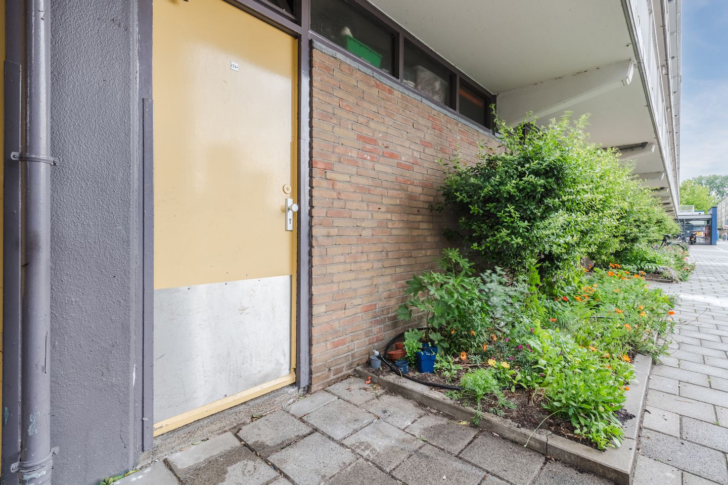 Foto 29 van Nicolaas Anslijnstraat 26