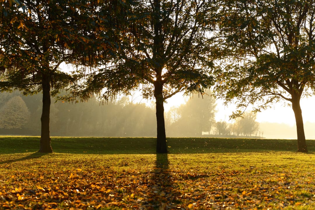 Foto 61 van Genualaan 23