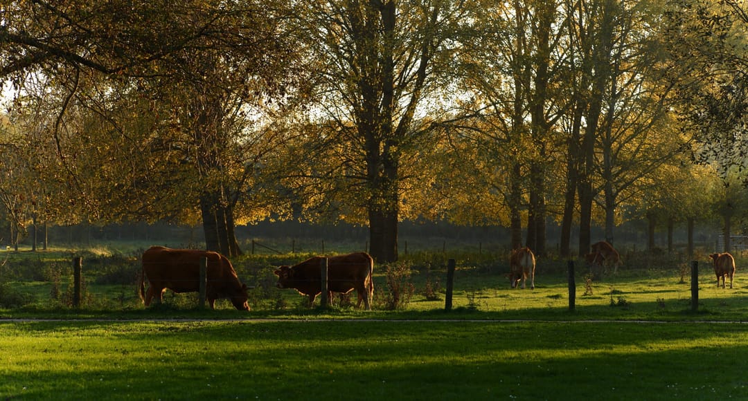 Foto 62 van Genualaan 23