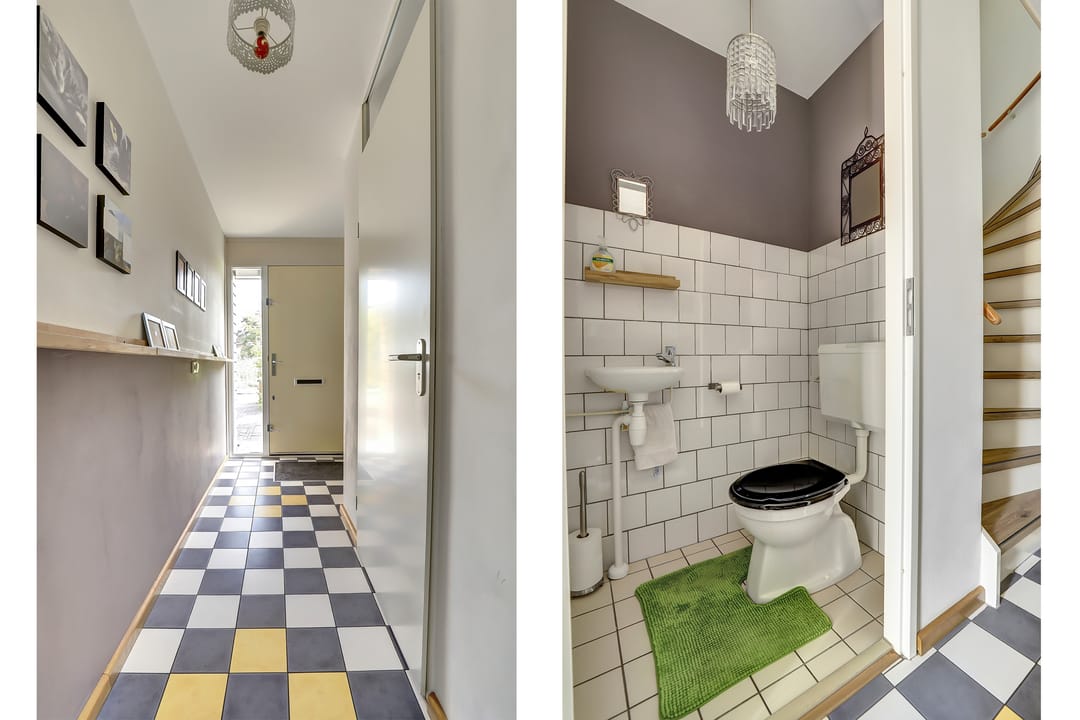 Foto 7 van Kaasjeskruid 5