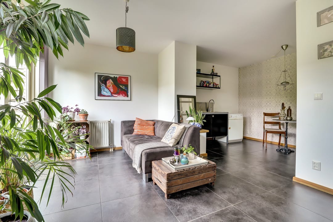 Foto 8 van Kaasjeskruid 5