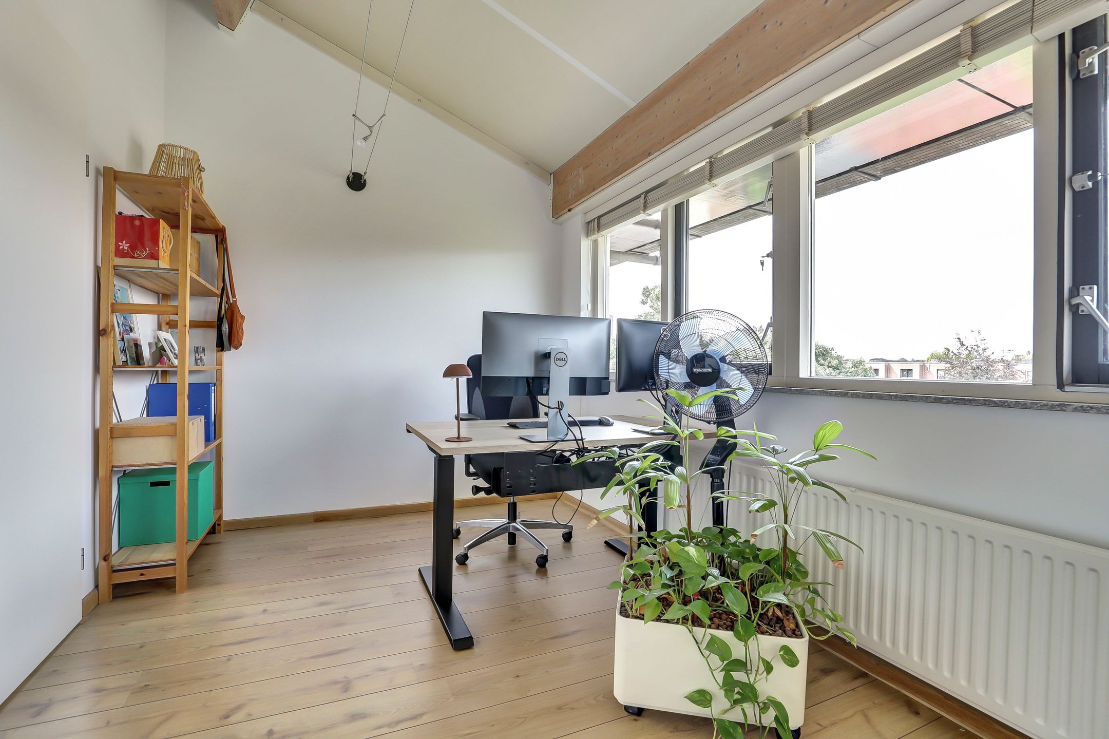 Foto 24 van Kaasjeskruid 5