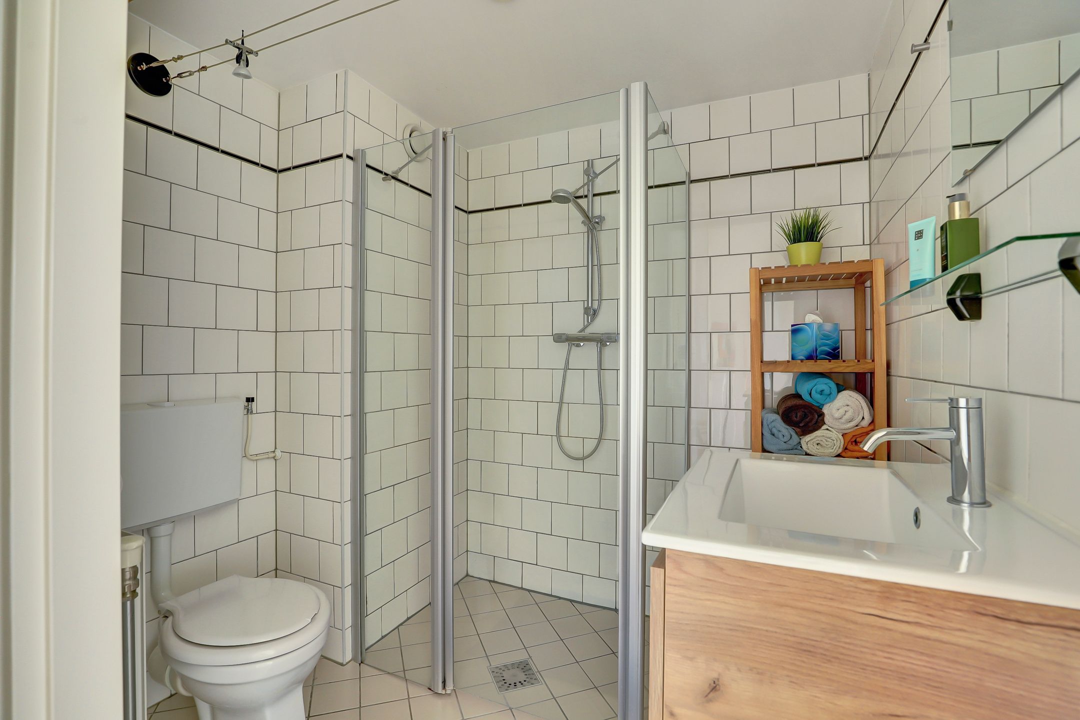 Foto 27 van Kaasjeskruid 5