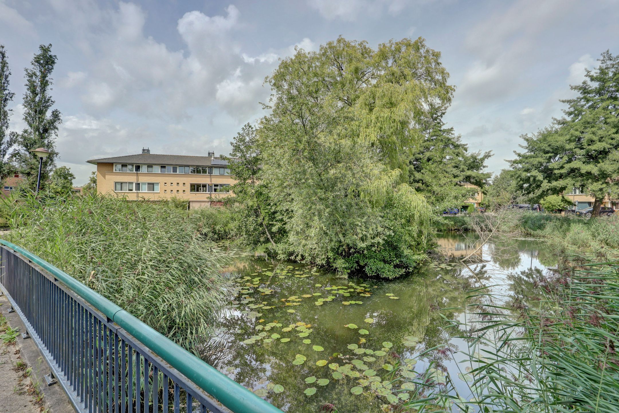 Foto 30 van Kaasjeskruid 5