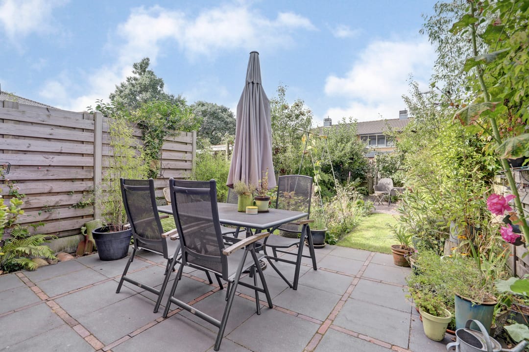 Foto 31 van Kaasjeskruid 5