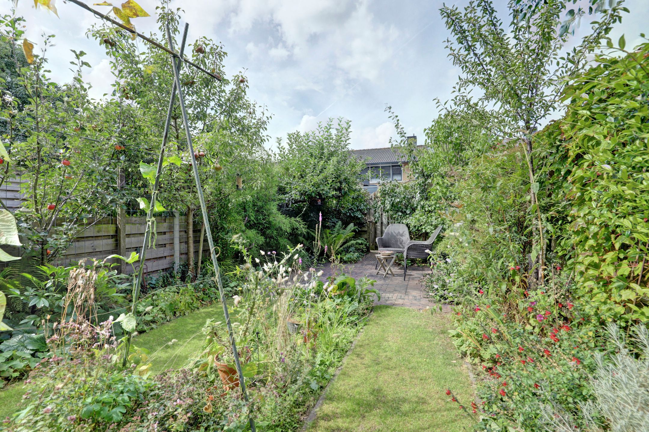 Foto 33 van Kaasjeskruid 5