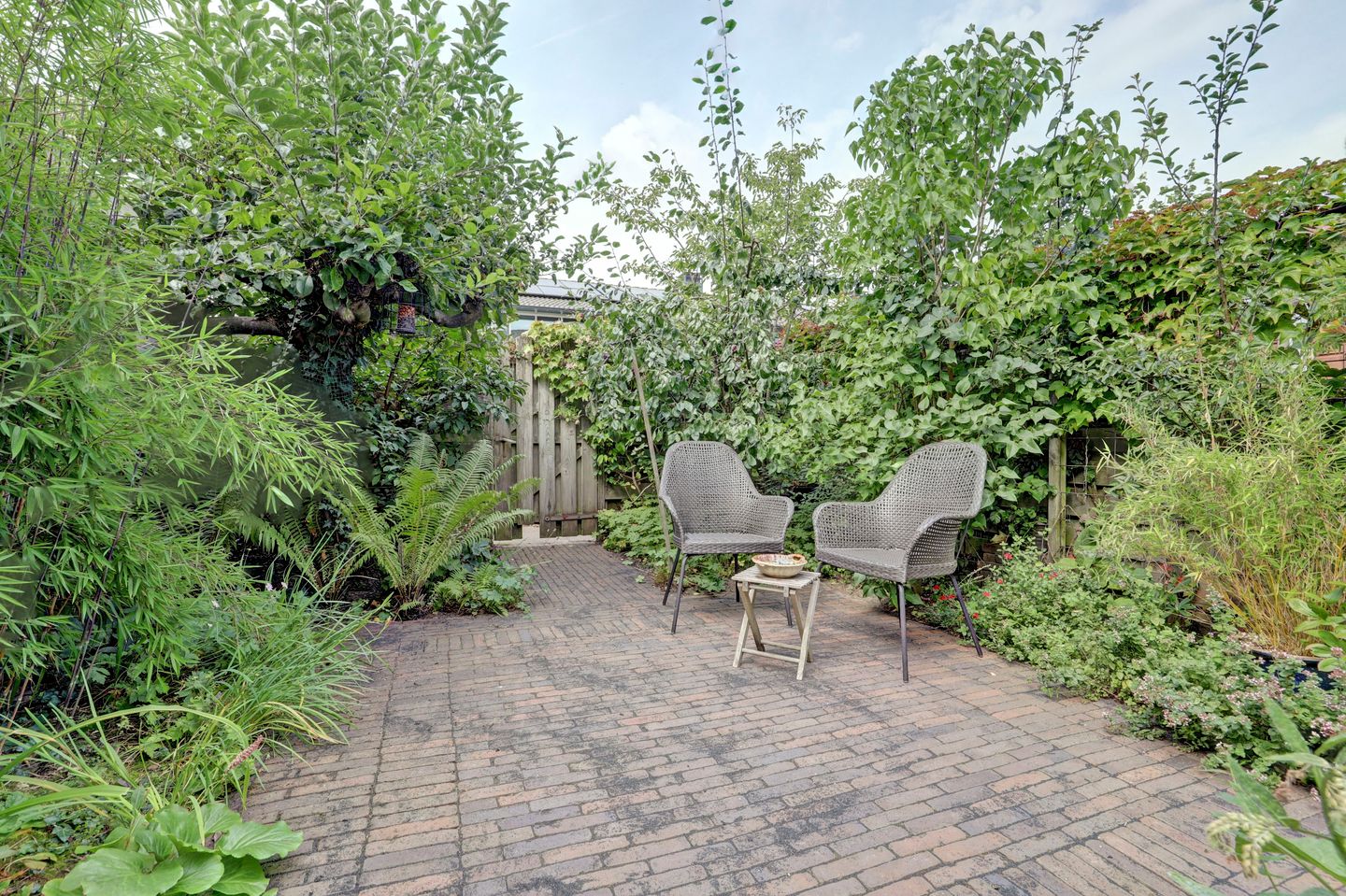 Foto 34 van Kaasjeskruid 5