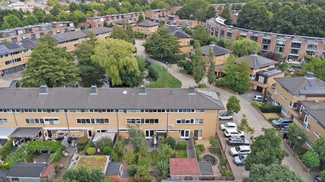 Foto 38 van Kaasjeskruid 5