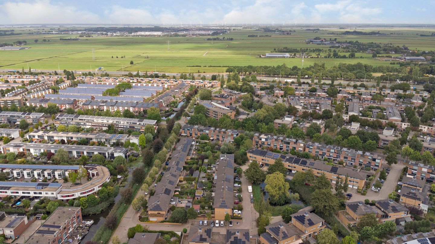 Foto 40 van Kaasjeskruid 5