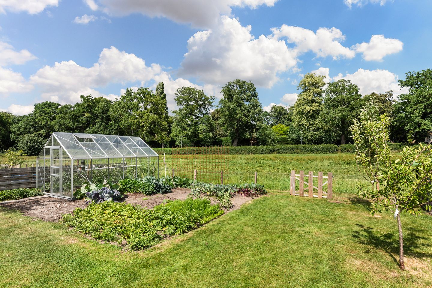 Foto 40 van Twelloseweg 100